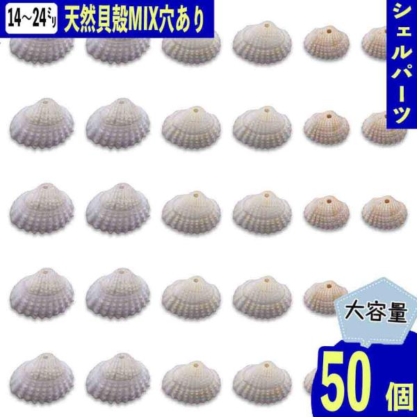 シェルパーツ 貝殻 ホワイト 14mmー24mm ミックス 穴あり 海 貝