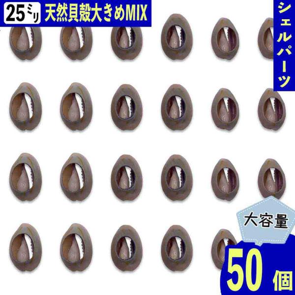 シェルパーツ 貝殻 カウリー グレー 25mm ミックス 大きめ 大穴 海