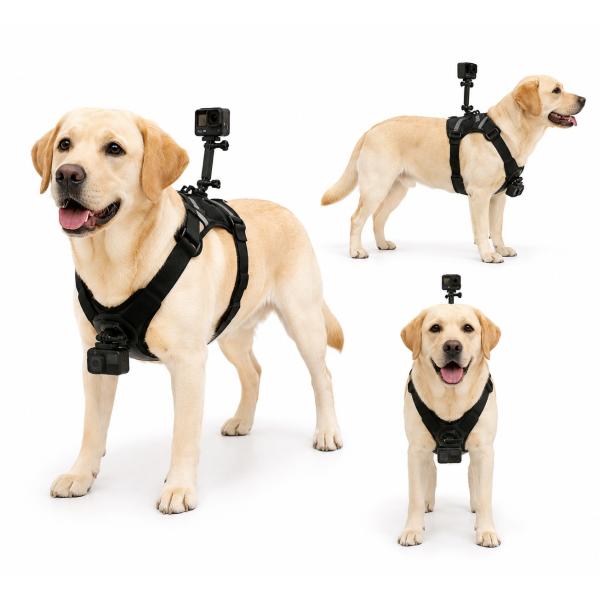 GoPro Fetch 犬用ハーネス アクションカメラ マウント 背中 胸元 2WAY装着 犬視点 撮影ベルト DJI Osmo Action Insta360 Ace Pro GO 3 GoPro対応 イヌ用 カメラ