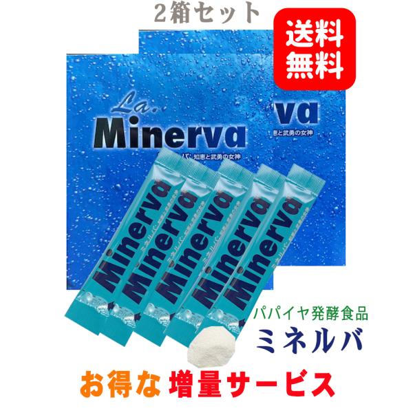 青パパイヤ発酵食品 ミネルバ（3g×30包）2箱 お得な増量8袋付 : 健康 