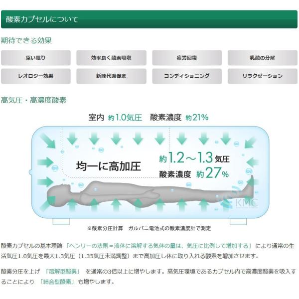 �ƒ�p�`�Ɩ��Ή� �_�f�J�v�Z�� OXYRIUM �I�L�V���E�� ���{�� ALL�A���~�j�E����̌^ �n�[�h���f�� �_�f������ڑ��\ ���i�摜2
