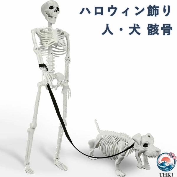 ハロウィン飾り 人/犬 骸骨 リアルな 全身可動式 骨組み 幽霊  屋外/屋内 ガーデン 庭 玄関先 室内 パーティー お化け墓地 お手入れ簡単 お世話が快適