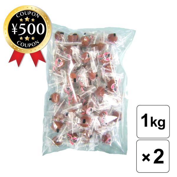 ・商品説明文【2袋セット】国産カリカリ梅は一粒一粒手もぎした梅を産地から10分圏内にある工場で早速早急に加工することにより「鮮度」を保ち「カリカリ」とした食感が楽しめる梅となっています♪1個あたりおよそ4.2kcalで、ダイエットや小腹が空...