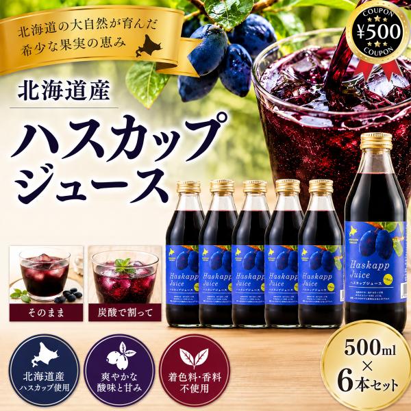 バイオアグリたかす ハスカップジュース 500ml×6本セット 北海道産 ハスカップ 果物 果汁 フルーツ ジュース ドリンク ストレート 濃厚