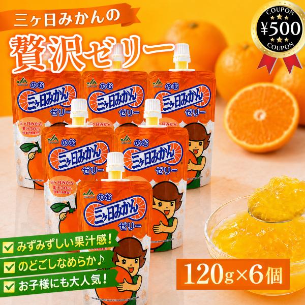 JAみっかび のむ三ヶ日みかんゼリー 120g×6個セット 国産 静岡県産