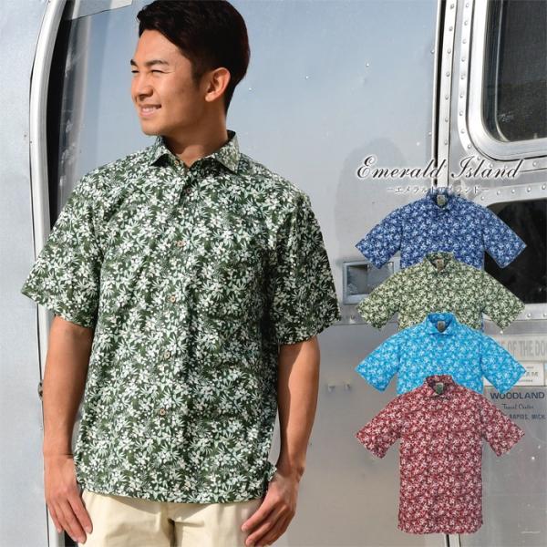 䂵EFA  AnVc Y u[Qԕ z]^ ][gEGfBO  Mtg v[g