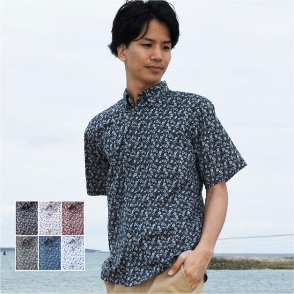 䂵EFA  AnVc Y nCrXJXԕ {^_E ][gEGfBO  Mtg v[g