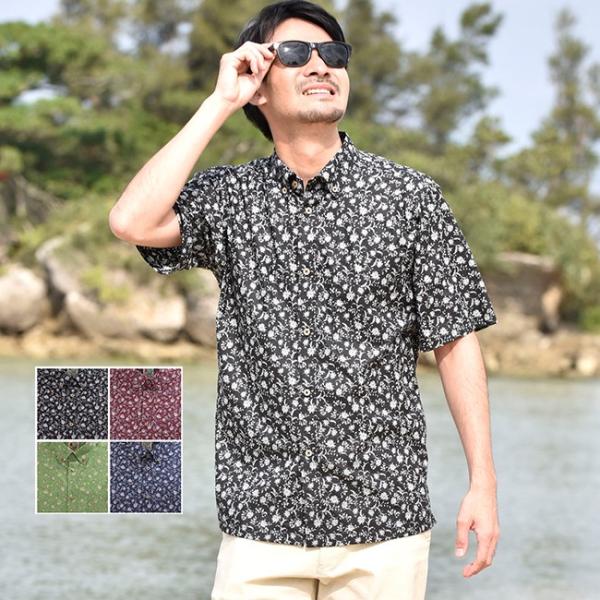 䂵EFA  AnVc Y lԕ {^_E ][gEGfBO  Mtg v[g