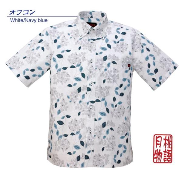 䂵EFA  AnVc Y u[QrA {^_E ][gEGfBO  Mtg v[g