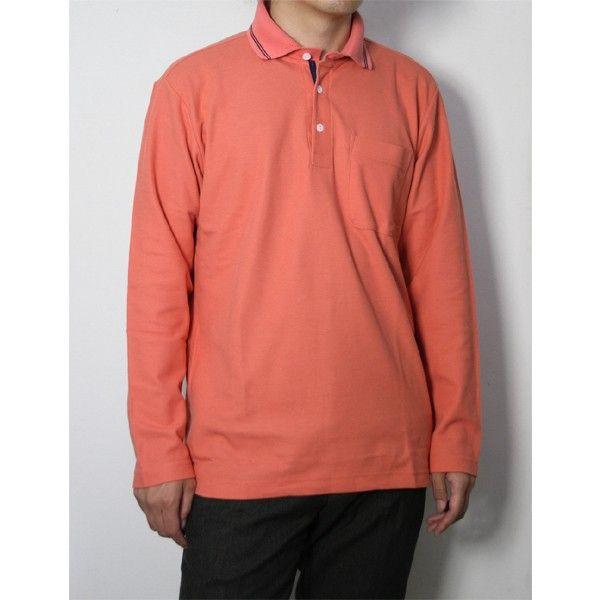 Y ̎q n  |Vc { StEFA VjA Mtg v[g