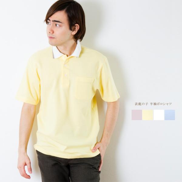 Y \̎q  |Vc { StEFA VjA Mtg v[g