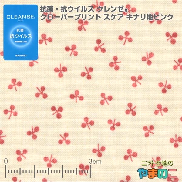 RہERECX@\@ۉHZpN[ N[o[vg XPA LinsN   u }XNn@X|[c@AEghAɁIv