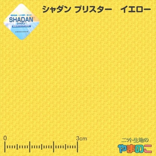 jbgn UV ՔM V_ uX^[ CG[uAX|[cAtuPAv