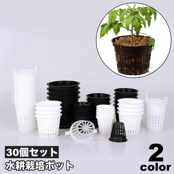 水耕栽培用ポット 80号（直径11cm） 透明 1000個セット 大特価