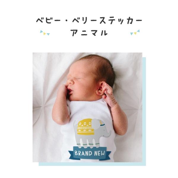 赤ちゃん 記念 写真 月齢ステッカー ベビー フォト グッズ 月齢フォト 月齢シール 月齢カード ベリーステッカー 成長記録 Ddw28 Buyee Buyee Japanese Proxy Service Buy From Japan Bot Online