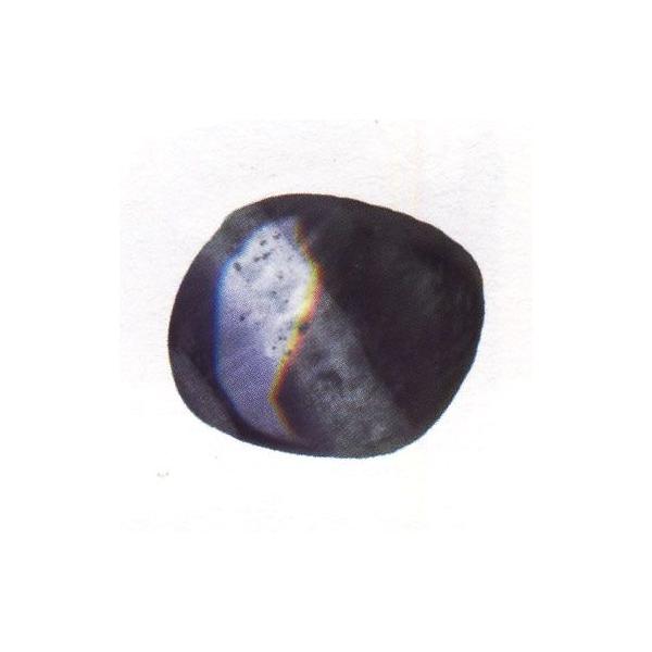 wA[g@p[Xg[@^u^Cv AWXg