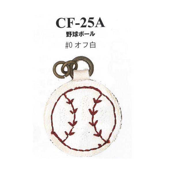 CiY}@vp[c@t@Xi[@싅{[@CF-25A