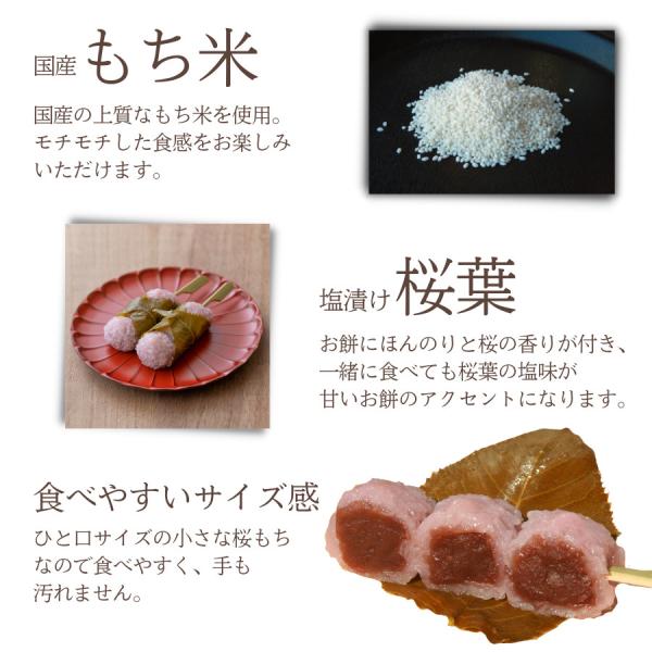 ko-fuku_sakura-4_3_d_20251202154155