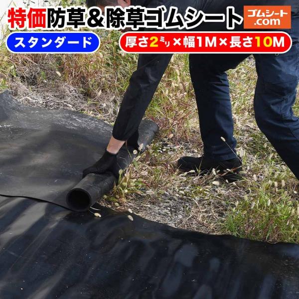 IhSV[g h  gȂ ~ȒP sH RpNg[ 2mm×1000mm×10000mmx