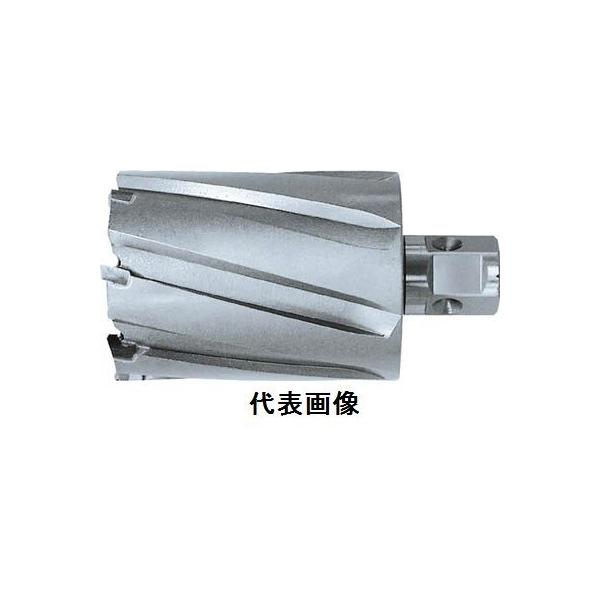 ジェットブローチ ワンタッチタイプ 30×50L NO.16430 日東工器