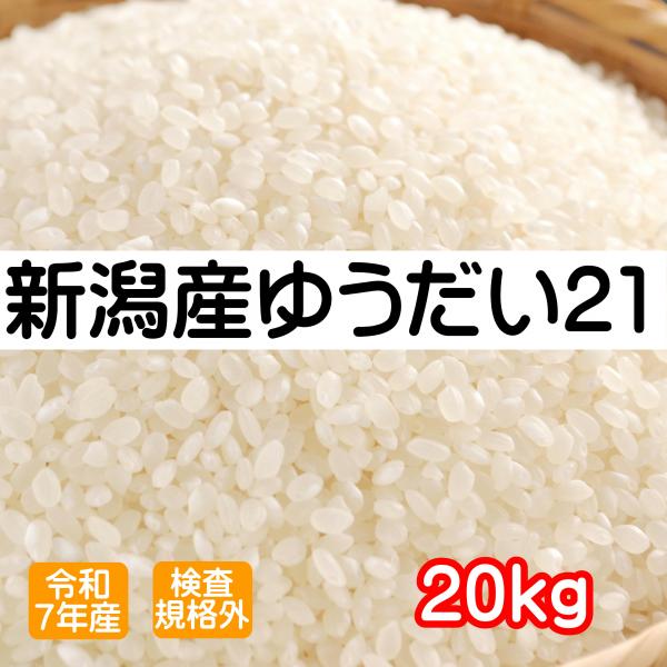 [Release date: December 25, 2025]令和7年産「新潟産ゆうだい21」の検査規格外のお米です。着色米が多いのが原因で規格外となっているため、選別機で取り除ききれずに少し着色米が残っています。元々大粒のお米なので、...