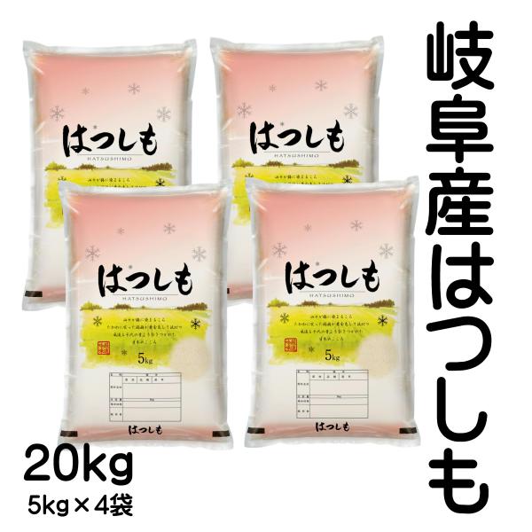 お米 7年産売り尽くし 20kg ハツシモ  大粒 岐阜県産 白米 5kg×2袋「令和7年産 岐阜産はつしも20kg(5kg4袋)」