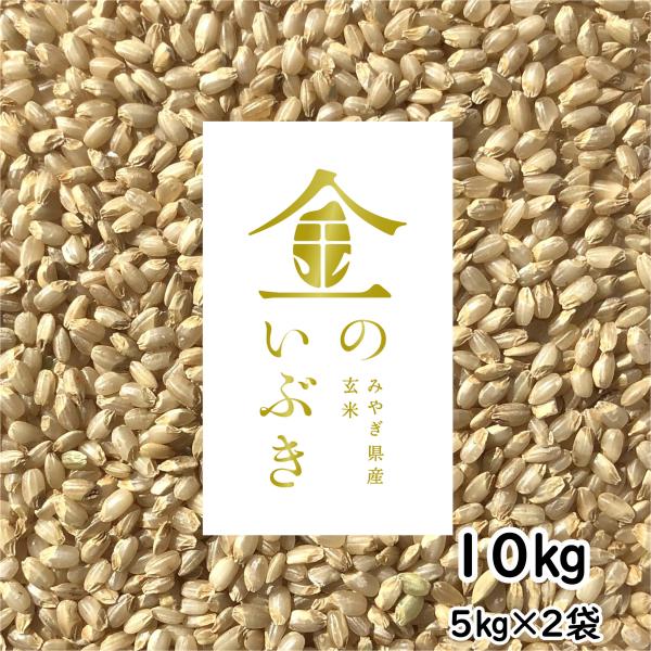 金のいぶき 玄米 10kg 令和5年産 玄米ダイエット 玄米食専用米 宮城県 5kg×2袋