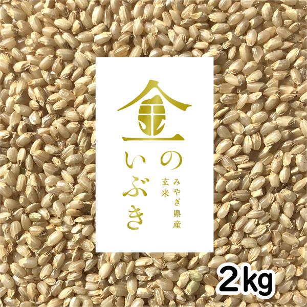 金のいぶき 宮城県 2kg 令和3年産 胚芽が3倍大きい玄米食専用米 :kinnoibuki2kg:幸村米穀株式会社 - 通販 -  Yahoo!ショッピング