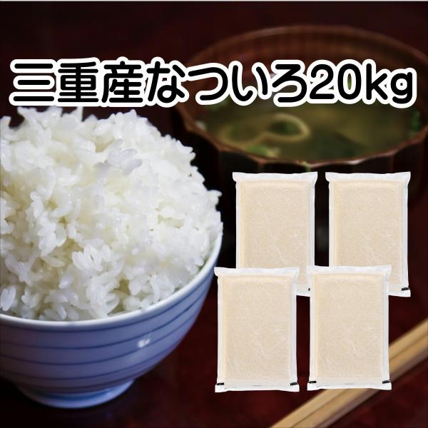 お米 三重産なついろ 20kg 令和7年産 白米 5kg×4袋 「お米 三重産なついろ20kg」