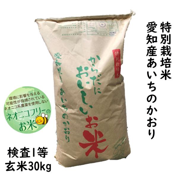 決まりました!あいちのかほり玄米30キロ - 家具 決まりました!あいちのかほり玄米30キロ - 家具