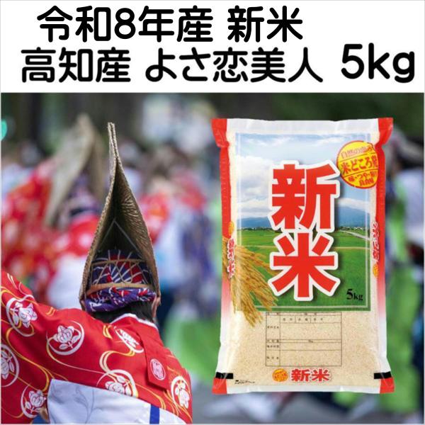 新米 令和8年産 高知産よさ恋美人 5kg 白米 「お米 新米 令和8年産 高知産よさ恋美人 5kg」