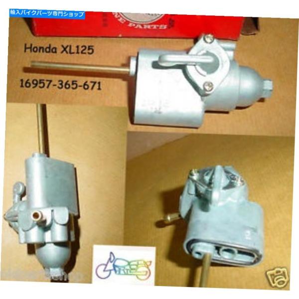 koalucky_usdm-5123-5703