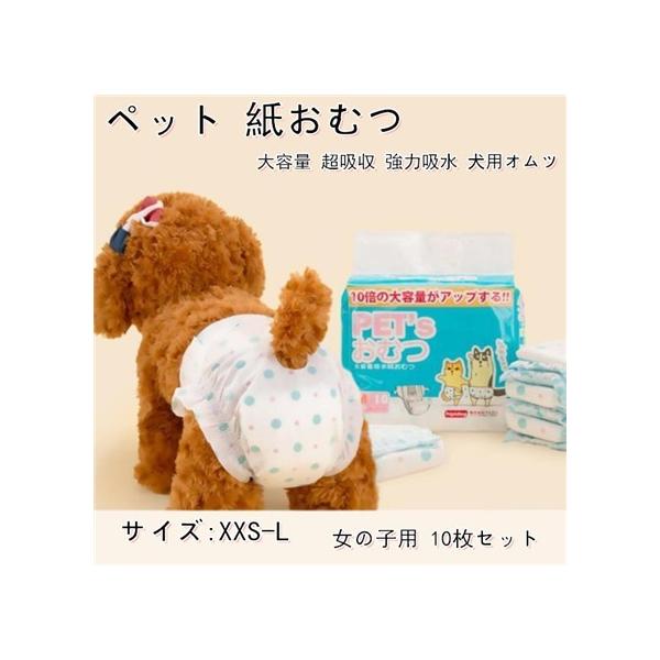 ペット 紙おむつ 女の子用 犬 おむつ マナーウェア トイレシート 大容量 超吸収 強力吸水 犬用オムツ 10枚セット Az コアラの家 通販 Yahoo ショッピング