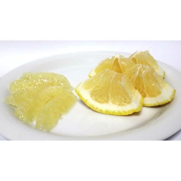 山口周防大島産 弓削瓢柑 ゆげひょうかん 約2 5kg 家庭用 サイズ無選別 Buyee Buyee 日本の通販商品 オークションの代理入札 代理購入