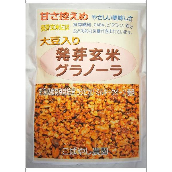発芽玄米グラノーラ（大豆入り）300g　グルテンフリー