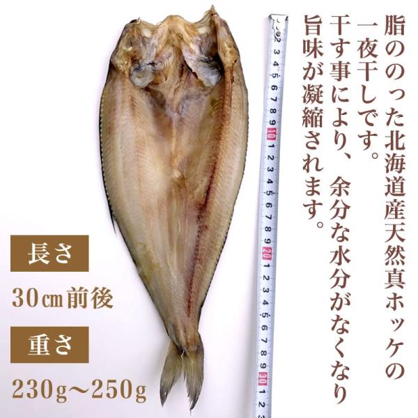 送料無料 北海道産 無添加 真ほっけ開き一夜干し 5枚 ホッケ Daihocnguyentrai Edu Vn