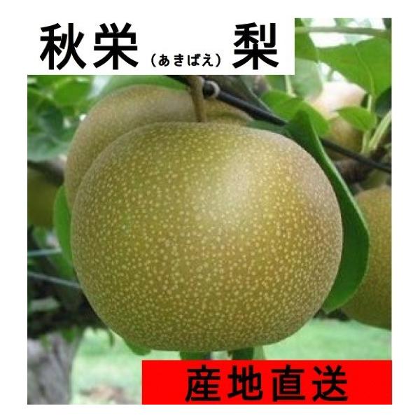 @@󂠂@Hh5kgi10`20ʓj@@2026NY\@