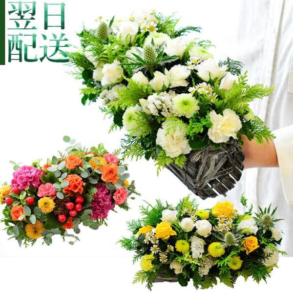 ■14時までのご注文で当日発送致します■土日祝も発送ＯＫ■商品画像ご希望の方は発送完了後にお写真を送らせていただきます■こちらの商品は生花の商品ですので、翌日配達ができない地域（北海道・青森県・秋田県・岩手県・沖縄県・鹿児島県・その他離島）...