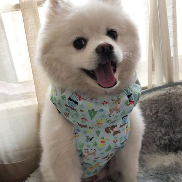 犬用 クールベスト 保冷剤入れ 熱中症対策 夏服クール クール ひんやりグッズ 暑さ対策 冷感 冷却 つめたい 小型犬 中型犬 大型犬 かわいい