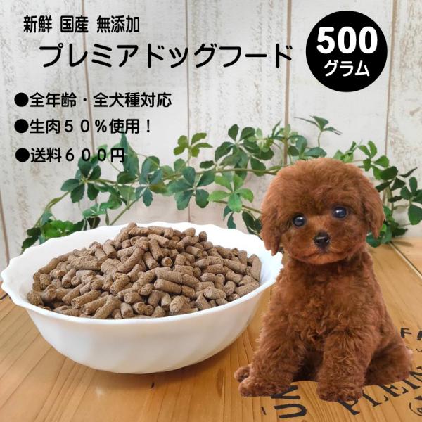 【あす楽対応可】フレッシュ国産ドッグフード 500g 新鮮 着色料 保存料 無添加  国産 ナチュラル 小型犬 成犬 幼犬 小粒 ペットフード ドライ
