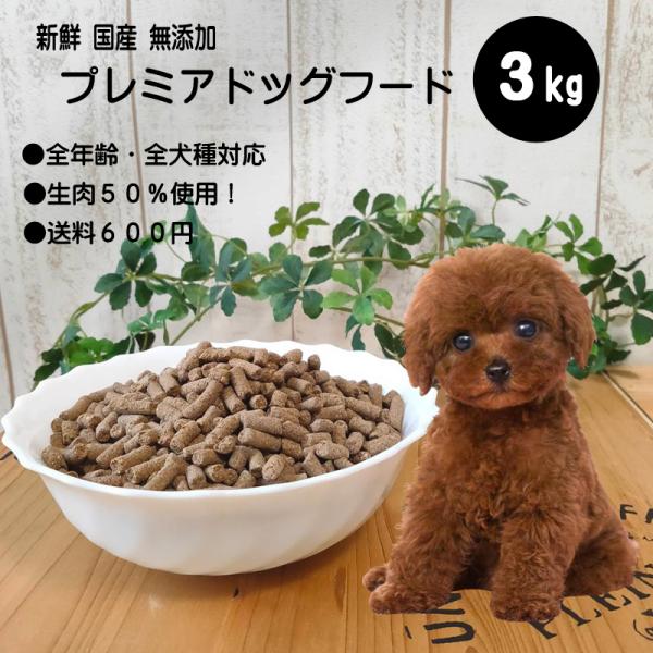 【あす楽対応可】フレッシュ国産ドッグフード 3kg 新鮮 着色料 保存料 無添加 国産 ナチュラル ドッグフード 小型犬 成犬 幼犬 小粒 ドライフード