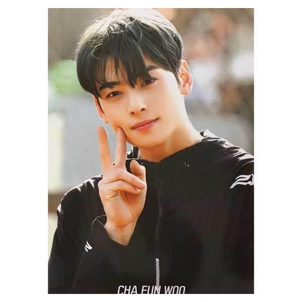 CHAEUNWOO チャ・ウヌ A3ポスター 12枚+ステッカーシールセット