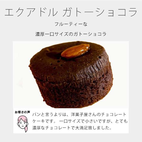 追加 合わせ買い限定販売 ガトーショコラ（通常価格のセット商品と同時買い / 同住所発送必須）