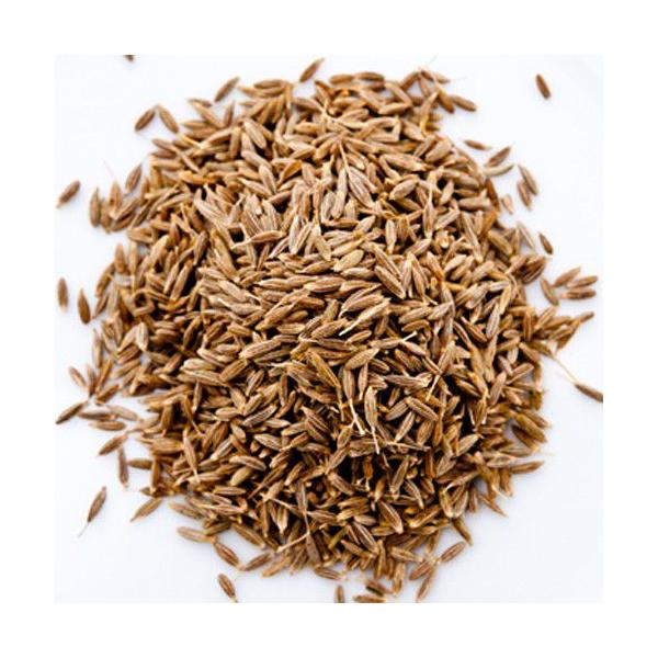 N~V[h 500g XpCX pPbg