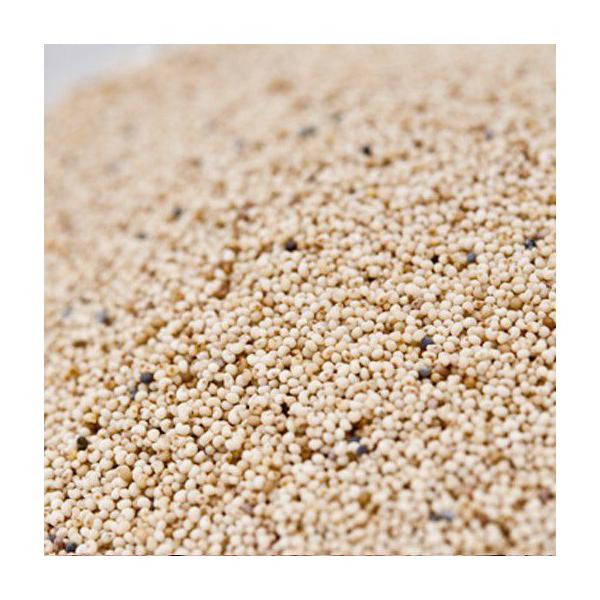 �|�s�[�V�[�h 100g ���[���� Poppy Seed