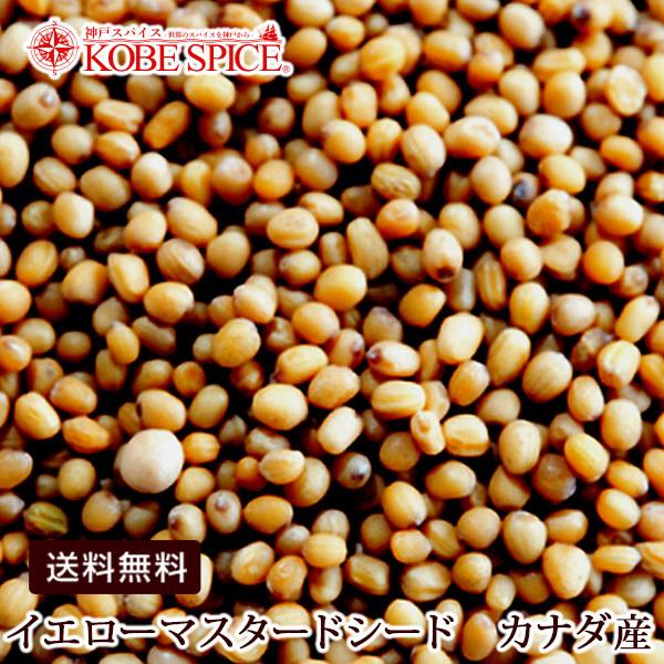 CG[}X^[hV[h Ji_Y100g pPbg