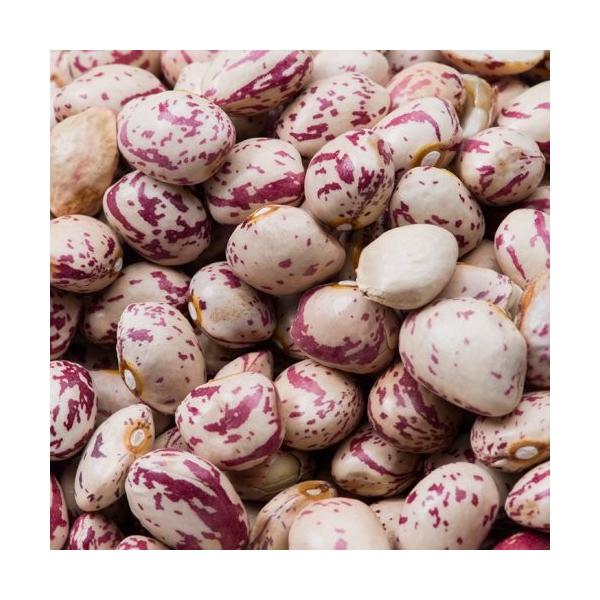 瓤 5kg(1kg×5)  퉷 Pint Beans Rajma Chit Kabra sg CQ W} `bgJuyƖpz