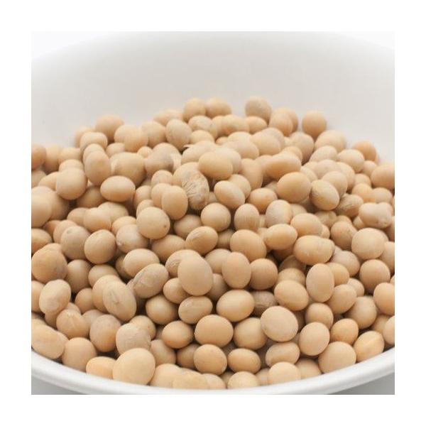 哤 1kg 퉷 Soybean \r[ 