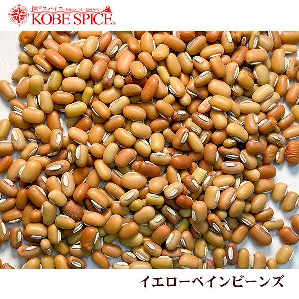 イエローペインビーンズ 500g Yellow Pain Beans メール便