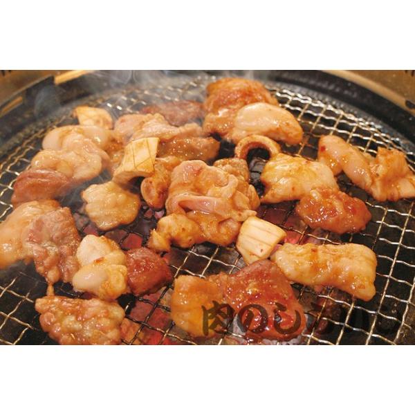 黒毛和牛 ホルモン 小腸 コテッチャン 500g Buyee Buyee Japanese Proxy Service Buy From Japan Bot Online